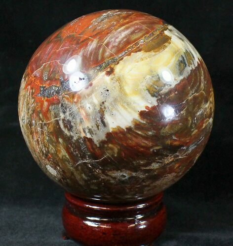 Colorful Petrified Wood Sphere #20634